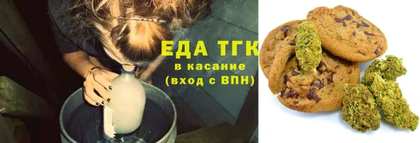 индика Мегион