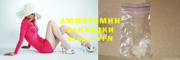 индика Мегион