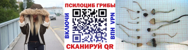 гидра ONION  Шилка  Галлюциногенные грибы мухоморы 